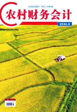农村财务会计杂志